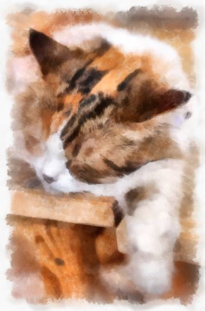 istock Cats in various cute poses watercolor style illustration impressionist painting. 1428588042
