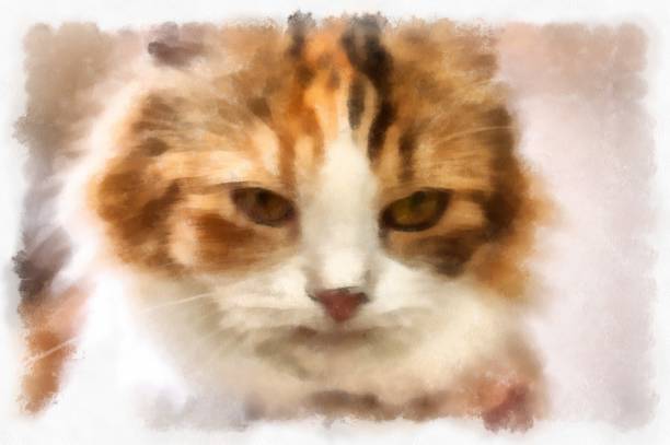 istock Cats in various cute poses watercolor style illustration impressionist painting. 1428589716