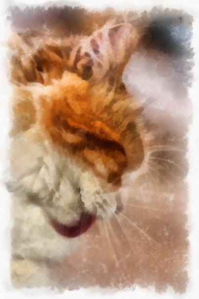 istock Cats in various cute poses watercolor style illustration impressionist painting. 1428589802