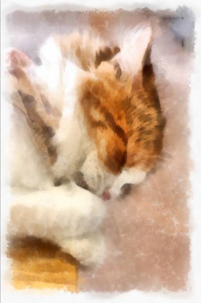 istock Cats in various cute poses watercolor style illustration impressionist painting. 1428591346