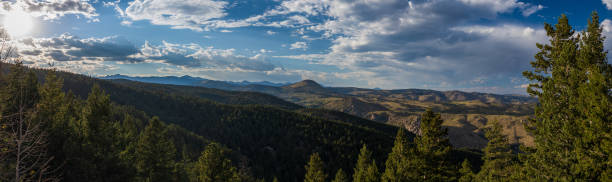 istock Mountain valley panorama with pine forest at sunset 1428595687