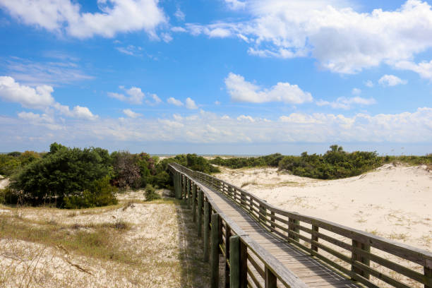 Cumberland Island Beach Walkway A walkway stretching out to the sea on Cumberland Island, Georgia. cumberland island georgia photos stock pictures, royalty-free photos & images