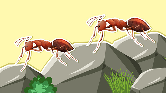 Thumbnail design with two red ants illustration