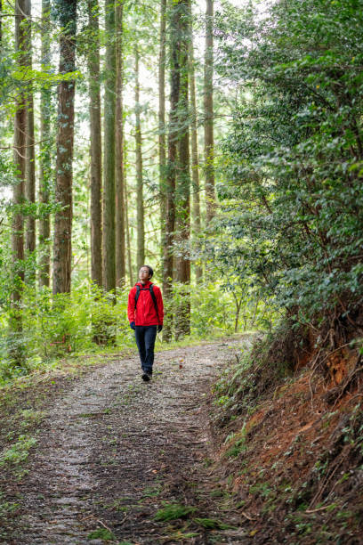 istock Mid adult man hiking in the forest 1428597632