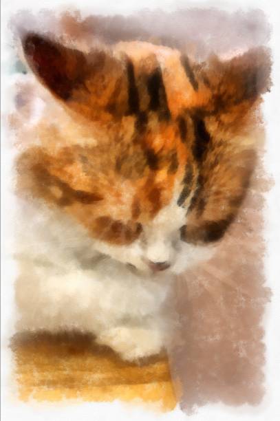 istock Cats in various cute poses watercolor style illustration impressionist painting. 1428600156