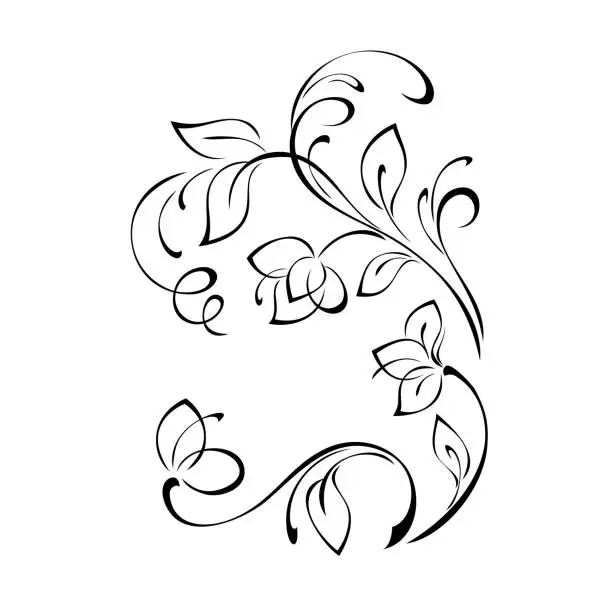 Vector illustration of ornament 2463