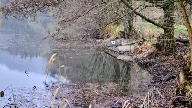 istock Large branches and the old boat on the pond 1428603742