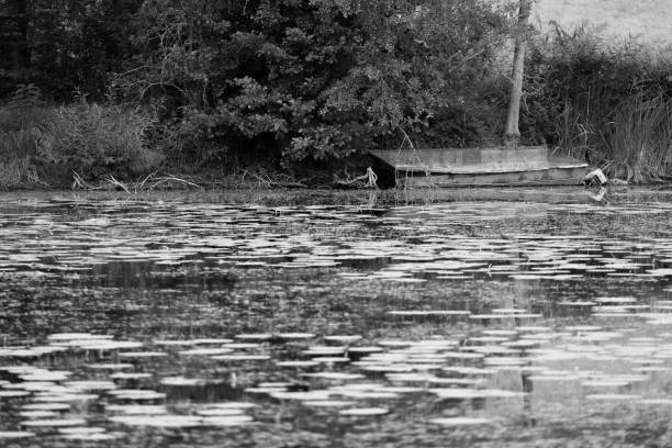 istock Old boat on the other side of the pond 1428603790