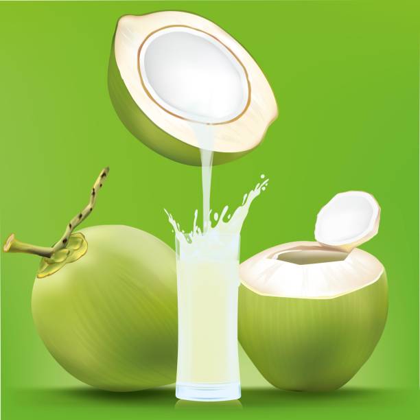 Drinking water from coconut comes down to the glass.illustration vector Drinking water from coconut comes down to the glass.illustration vector fruit of coconut tree stock illustrations