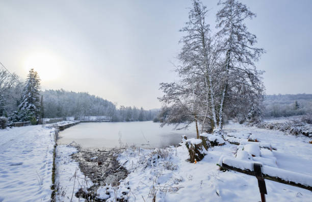 istock Here we arrived near the frozen pond 1428604648