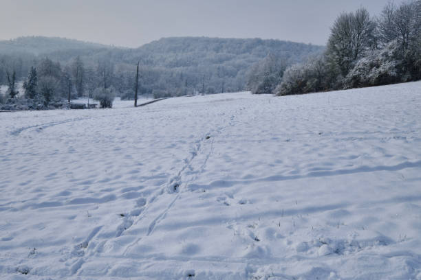 istock Snowy landscape in the plain 1428604670
