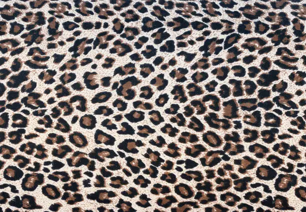 Photo of Texture leopard skin pattern wool rug background