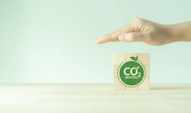 istock Carbon neutral sustainable development concept. Green industry. Net zero greenhouse gas emissions target 2050. Climate neutral long term strategy. Hand protection the earth with carbon neutral target. 1428607660