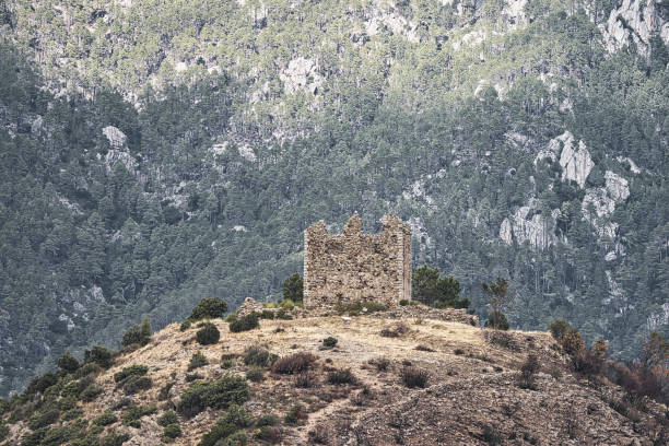 istock Genoese tower in Corsica 1428613550