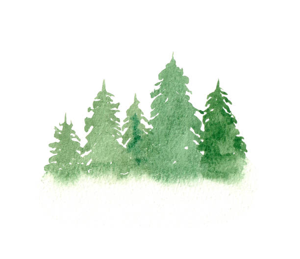 istock Watercolor hand drawn landscape. Silhouette of trees. 1428616736