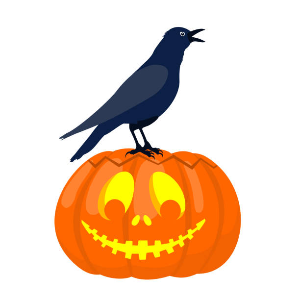 ilustrações de stock, clip art, desenhos animados e ícones de halloween pumpkin crow - witch voodoo smiling bizarre