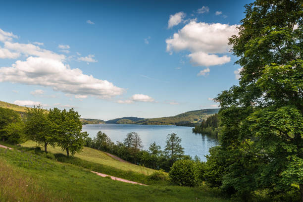 istock Schluchsee in the Black Forest, Germany 1428635417