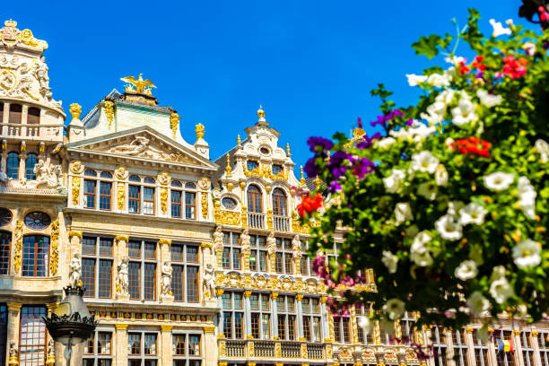 istock Grand Place in Brussels 1428635480