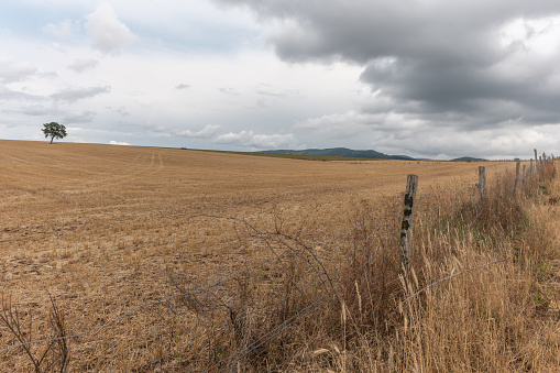 Farming landscape in rural Aberdeenshire, Scotland, on a summer's day.