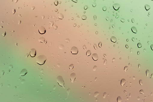 Water drops on green background