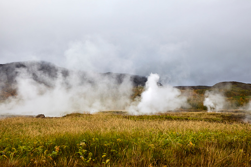 Group of small geysers in Haukadalur Geothermal Area in Iceland