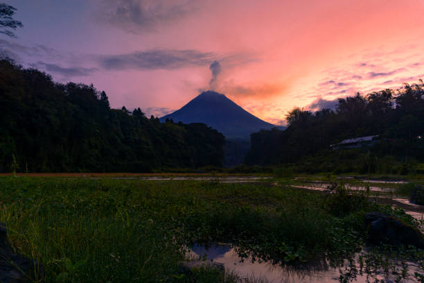 istock A lake overgrown with aquatic plants with a mountain background 1428642286