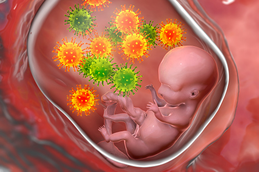 Transplacental transmission of Cytomegalovirus (CMV) and other viruses to human embryo, conceptual 3D illustration