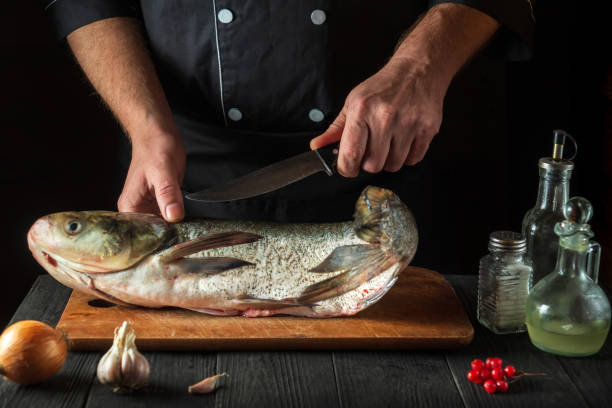 istock The chef prepares silver carp herring in the restaurant kitchen. Preparation for cutting fish with a knife. Work environment on the kitchen table. 1428644517