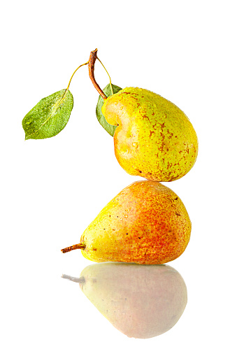 Two ripe freshly picked bright pear with water drops lying one on top of one with reflection. Isolated on white background. Studio shot.