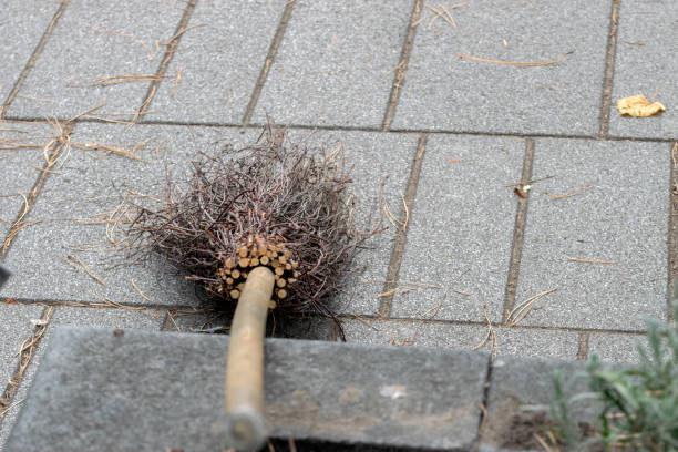 istock Close Up Sweeping Broom At Amsterdam The Netherlands 1428648228