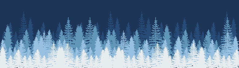 Christmas. Winter background. Winter Forest background. Pine trees forest landscape. Pine, spruce, christmas tree. Silhouette pine tree panorama view. Vector illustration