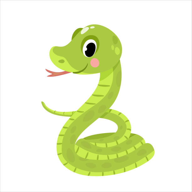 ilustracja wektorowa uroczego węża - snake animal young animal crawling stock illustrations