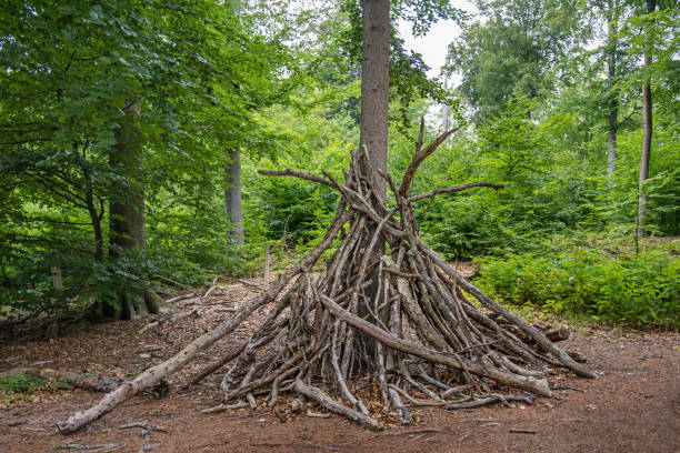 istock Children's play hut built of dead branches 1428651854