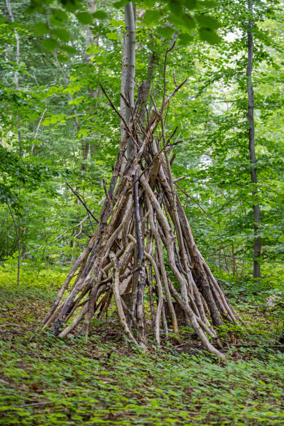 istock Children's play hut built of dead branches 1428652363