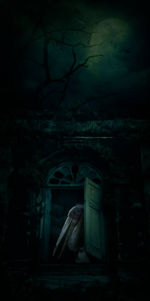 istock Halloween mystery concept 1428653260