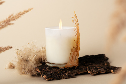 Burning aromatic candle in glass holder and dry plants elements on beige background. Aromatherapy and autumn mood. Domestic ornate