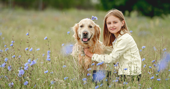 Portrait of beautiful preteen girl petting golden retriever dog and looking at him outdoors. Kid with doggy pet in the field in summer time