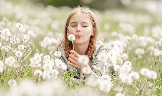Little girl blowing at blowballs flowers sitting in field. Cute child kid with dandelions at nature