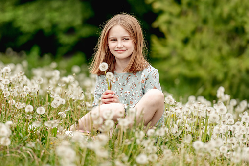 Little girl holding white blowballs flower in hands and looking at camera in blossom field. Cute child kid with dandelions at nature