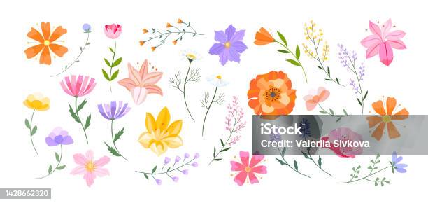 Vektoros Virágos Illusztráció Levelek Vadvirágok Gallyak Virágkötések Készlete Gyönyörű Kompozíciók A Mezei Fűből És A Fényes Tavaszi Virágokból témájú stock illusztráció – Kép letöltése most