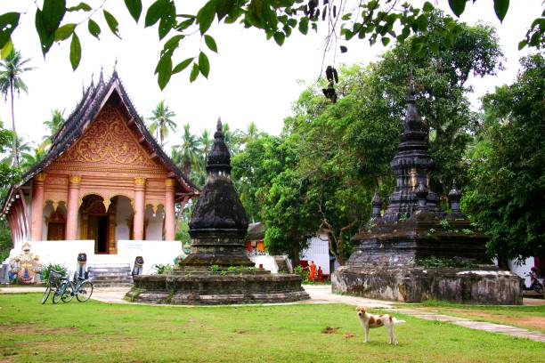 istock Temple buildings in Luang Prabang 1428663254