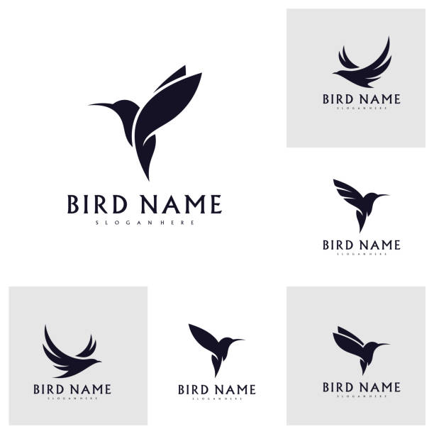 ilustraciones, imágenes clip art, dibujos animados e iconos de stock de conjunto de plantilla vectorial de diseño de logotipo de colibrí, logotipo de pájaro para negocios modernos, diseño simple minimalista y limpio - canturrear