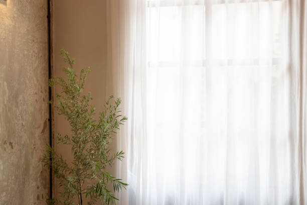 istock Retro item decorated in vintage house 1428675219