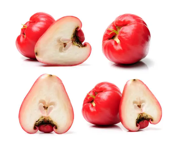 Rose apples or chomphu on white background