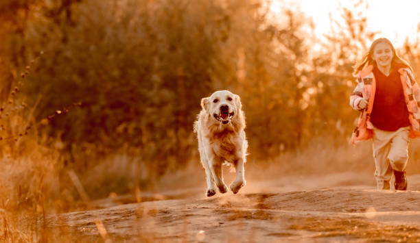 istock Girl with golden retriever dog 1428685396