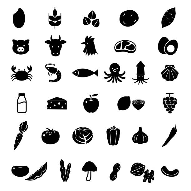 ilustrações, clipart, desenhos animados e ícones de conjunto de ícones de alimentos - chicken fish beef pig