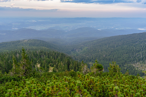 A view of the Karkonosze Mountains covered with green forest at dusk.