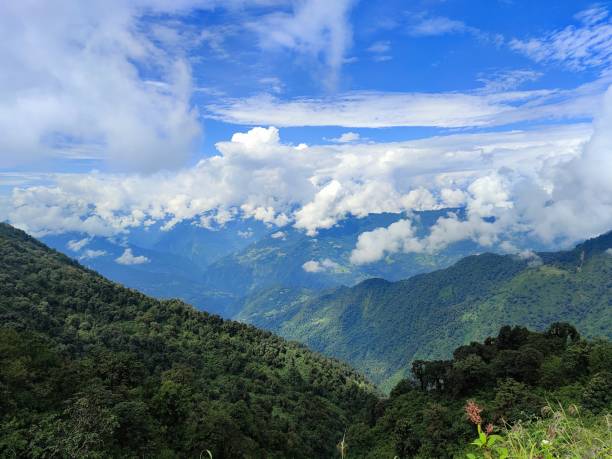 istock Beauties of nature 1428687262