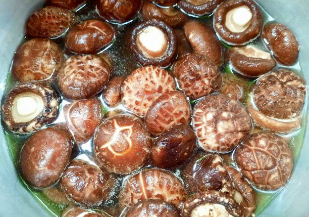 Boiling Shiitake Mushrooms - food preparation.