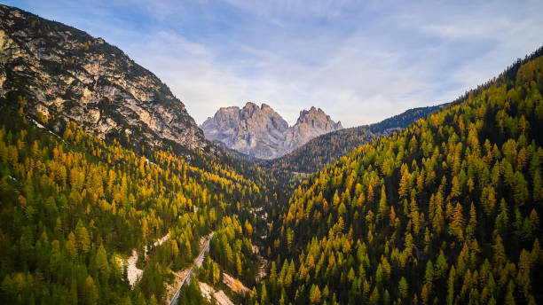 istock green and yellow trees in italy 1428699625